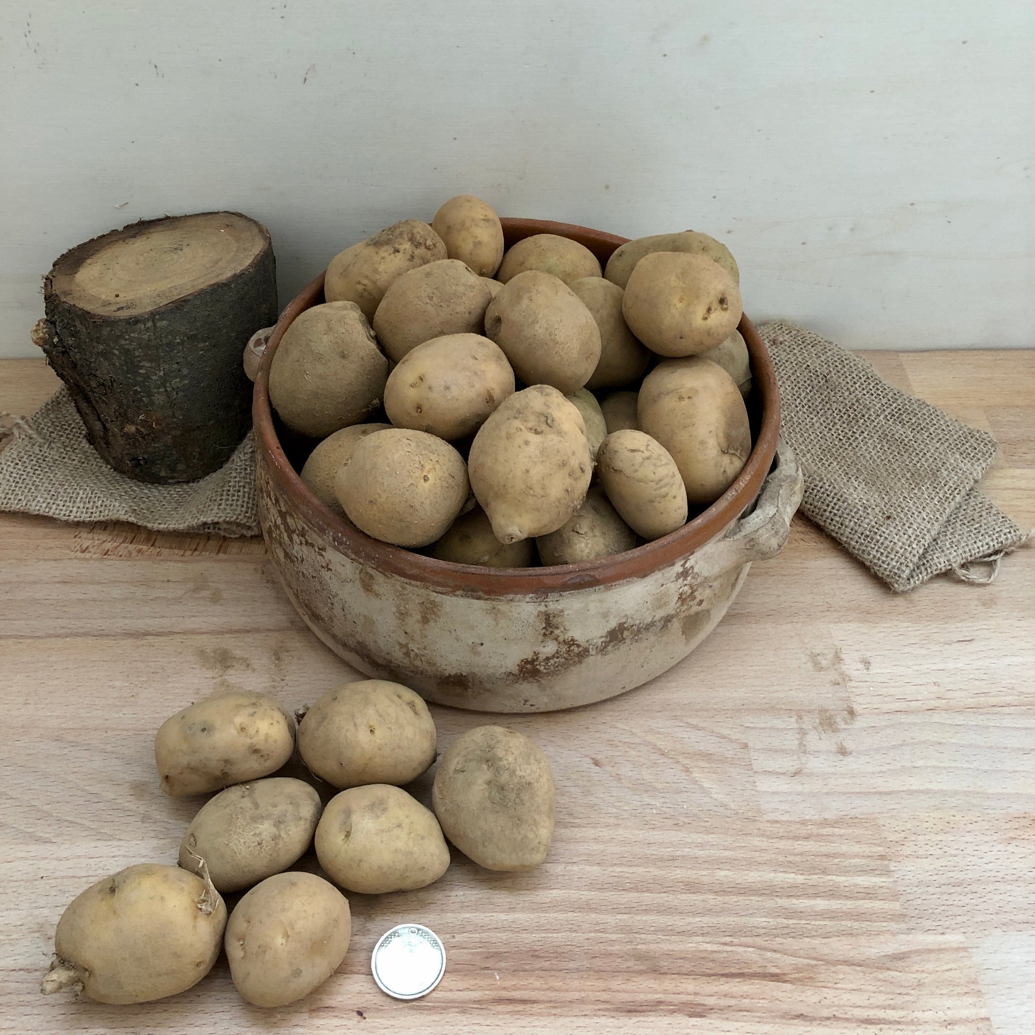 Minituberi di Patate Italiane - Varietà di Montagna - Ottime per la Semina
