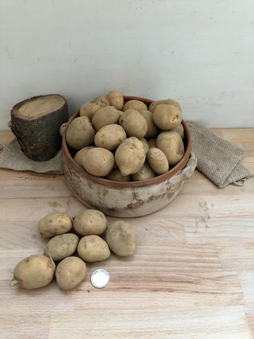Minituberi di Patate Italiane - Varietà di Montagna - Ottime per la Semina