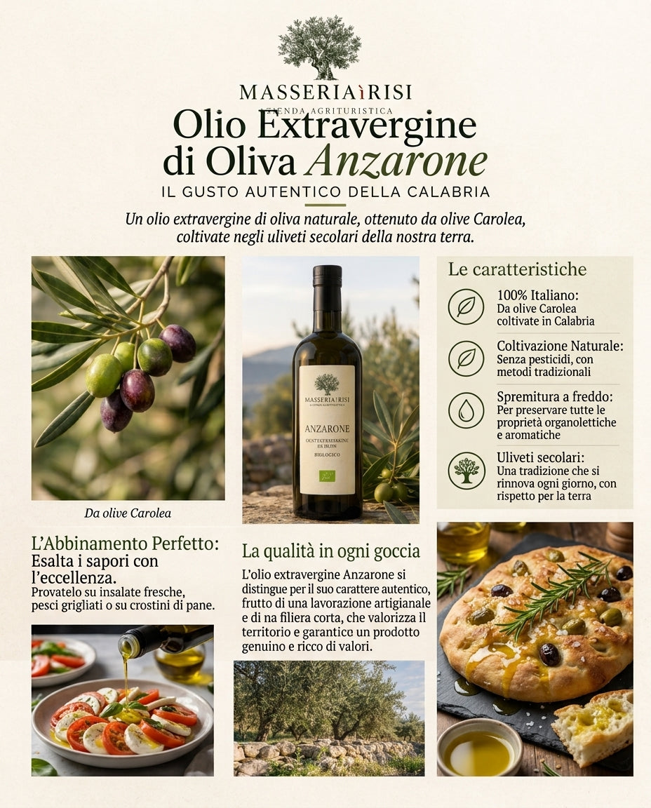 Olio Extravergine di Oliva Naturale  - 100% Italiano - Prodotto in Calabria 5 L (Latta)