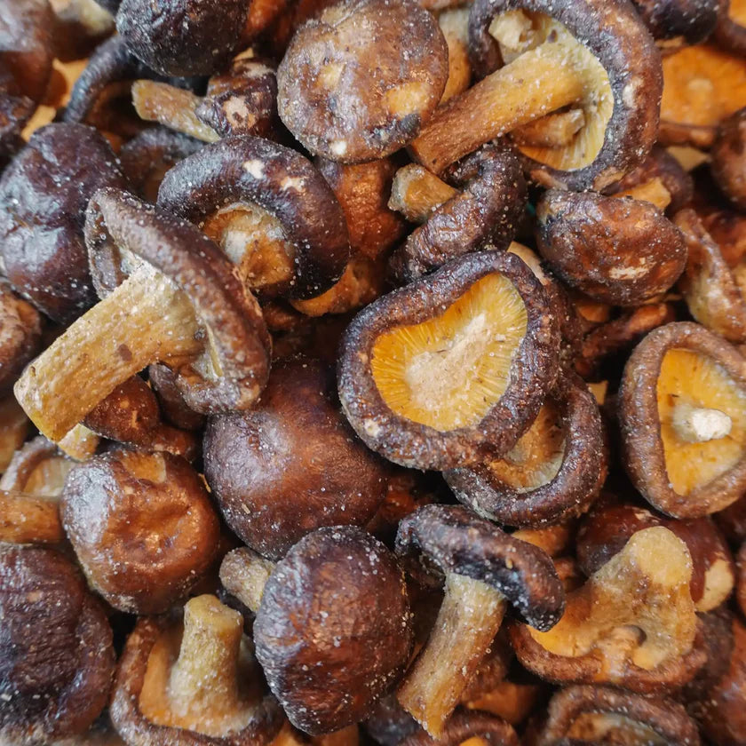 Funghi Shiitake Chips