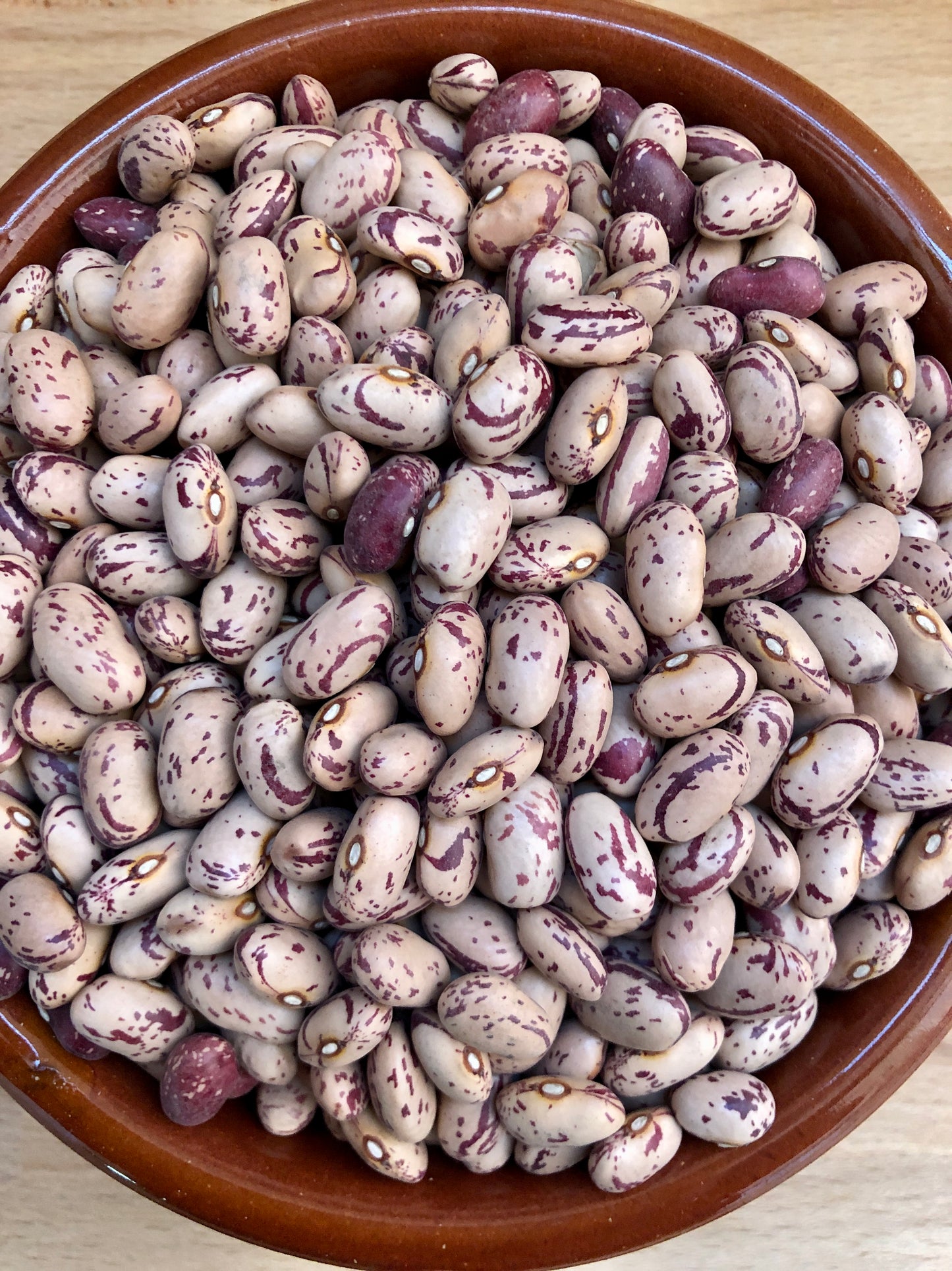 Fagioli Borlotti Secchi del Canada Naturali