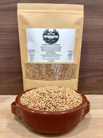 Grano Tenero Maiorca