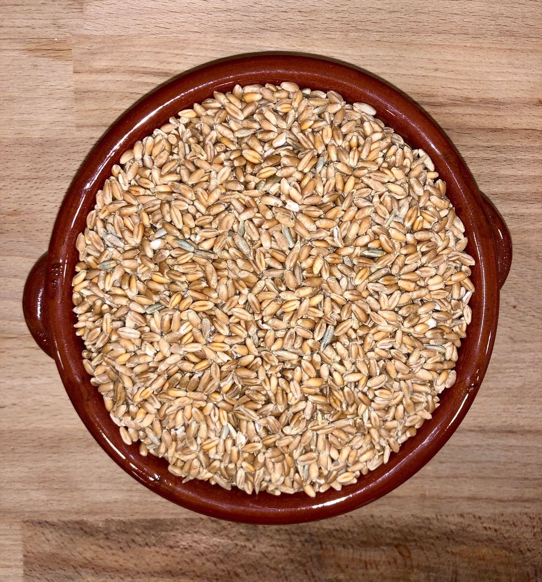 Grano Tenero Maiorca