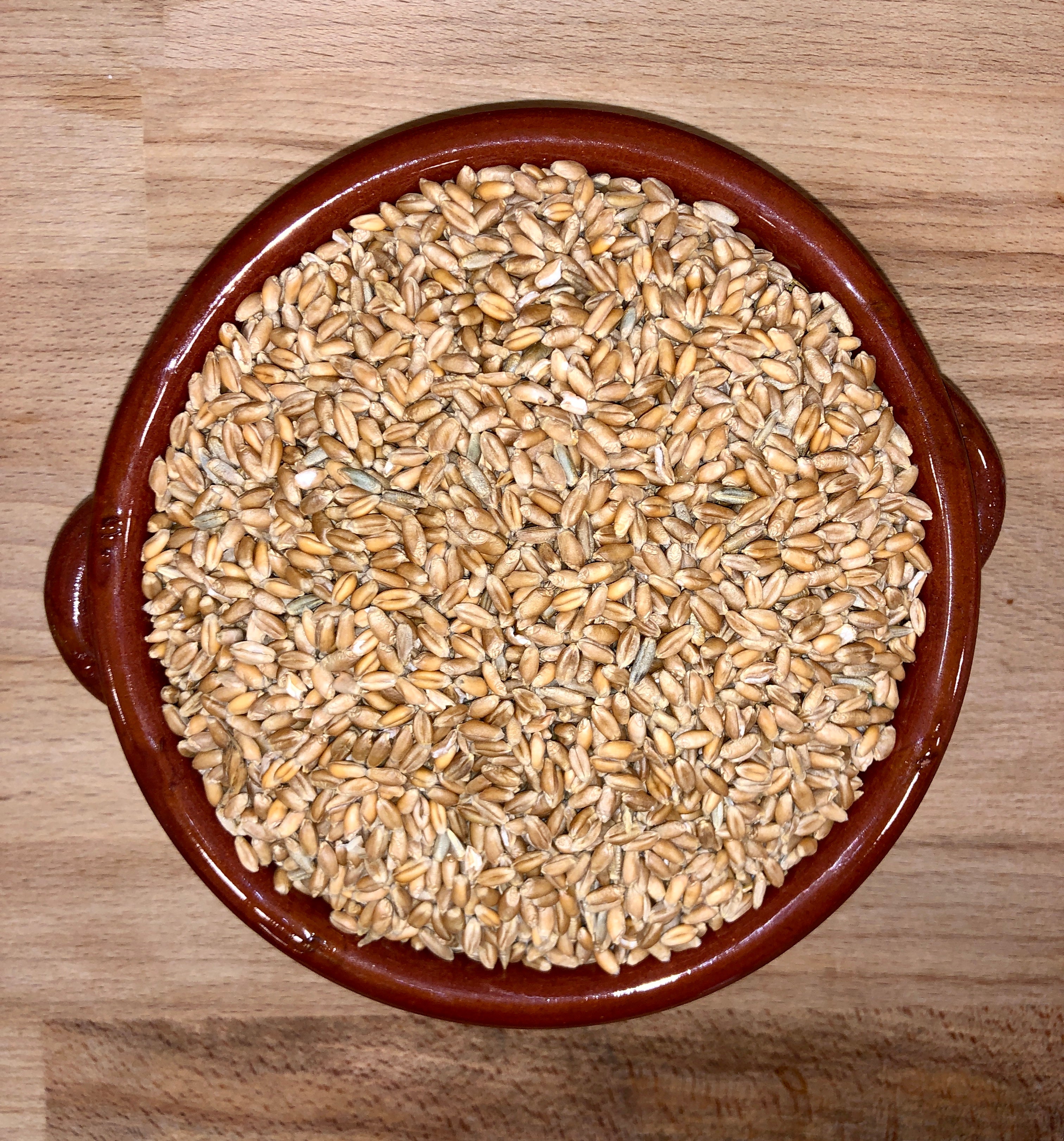 Grano Tenero Maiorca