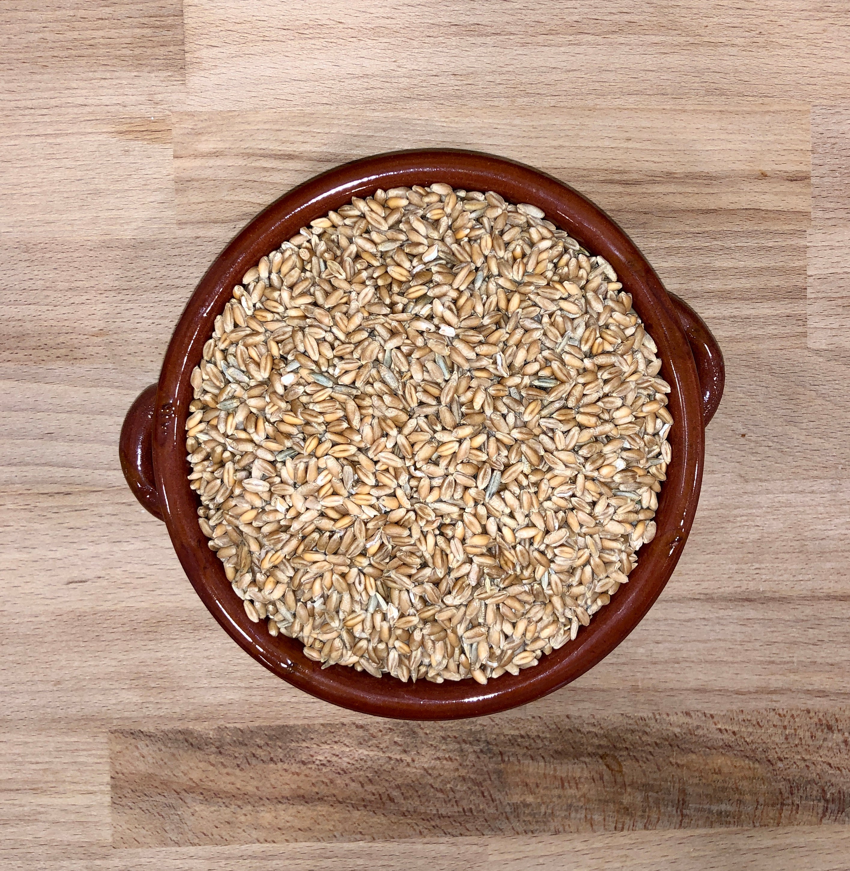 Grano Tenero Maiorca
