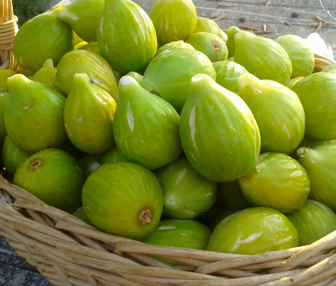 Fichi Secchi Naturali Calabresi di Grossa Pezzatura da Coltivazioni Locali