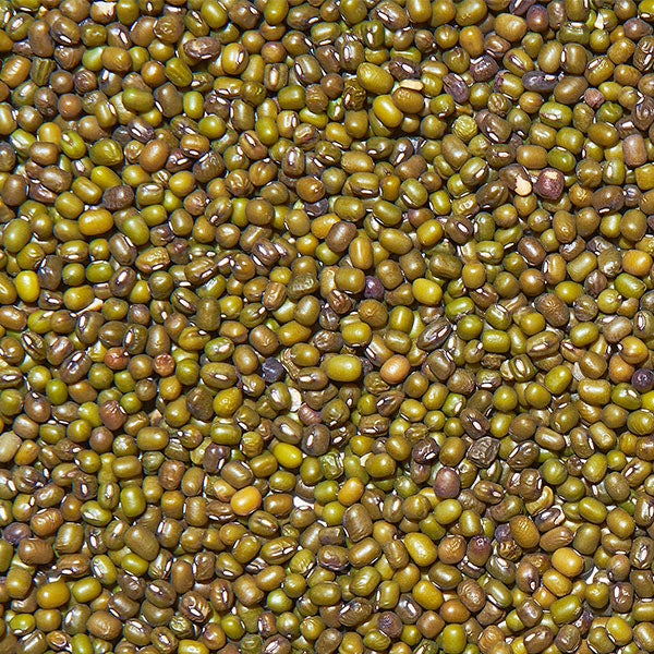 Fagioli Azuki Verdi Naturali