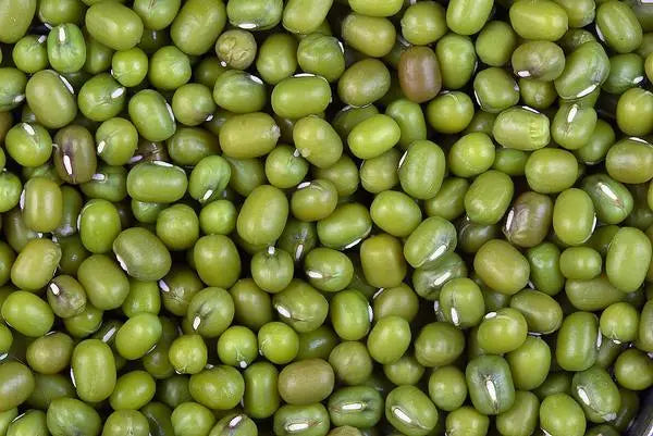 Fagioli Azuki Verdi Naturali